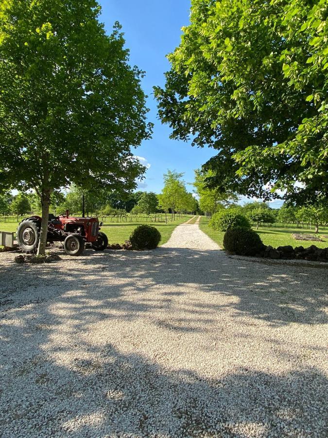 Gite Le Pigonnier Ecogite Le Luquet Saint Beauzeil 82150 Экстерьер фото